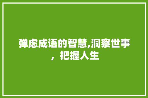 弹虑成语的智慧,洞察世事，把握人生