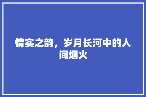 情实之韵，岁月长河中的人间烟火