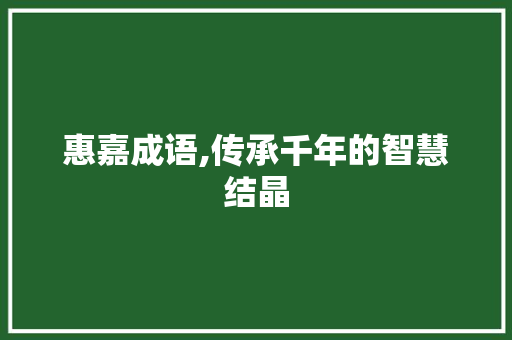 惠嘉成语,传承千年的智慧结晶