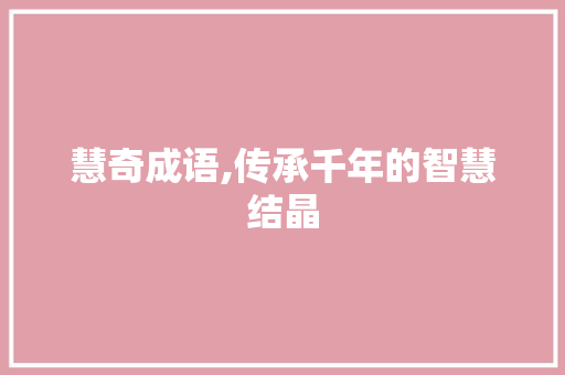 慧奇成语,传承千年的智慧结晶