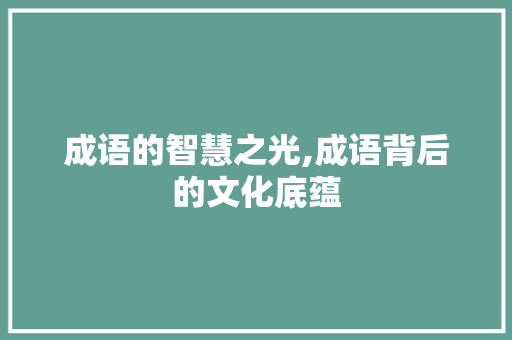 成语的智慧之光,成语背后的文化底蕴