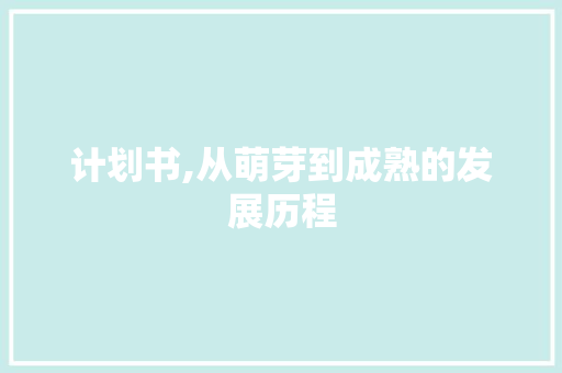 计划书,从萌芽到成熟的发展历程