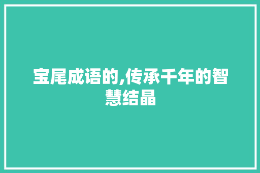 宝尾成语的,传承千年的智慧结晶