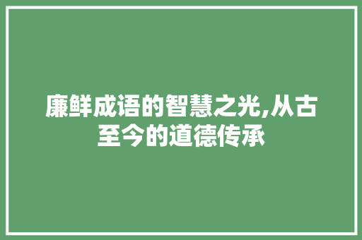 廉鲜成语的智慧之光,从古至今的道德传承