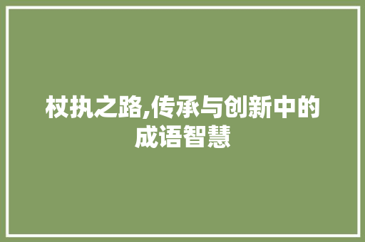 杖执之路,传承与创新中的成语智慧