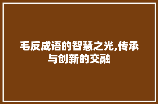毛反成语的智慧之光,传承与创新的交融