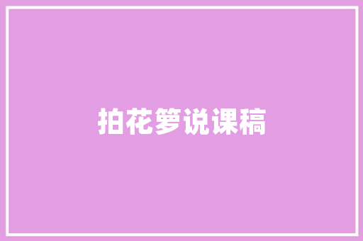 网络承包计划,新时代产业发展的新引擎 工作总结