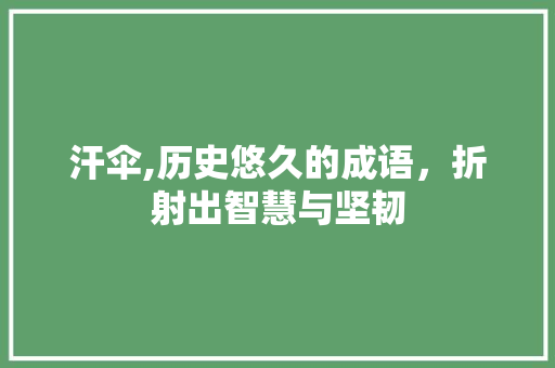 汗伞,历史悠久的成语，折射出智慧与坚韧