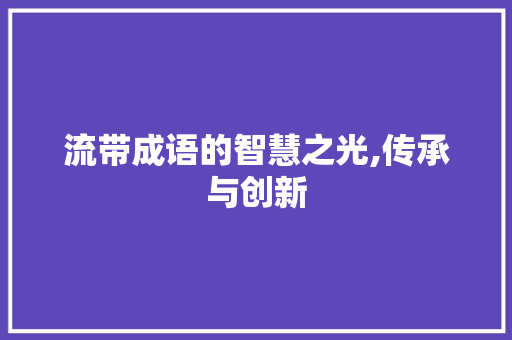 流带成语的智慧之光,传承与创新