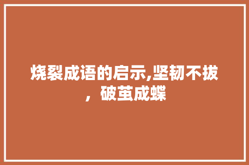 烧裂成语的启示,坚韧不拔，破茧成蝶