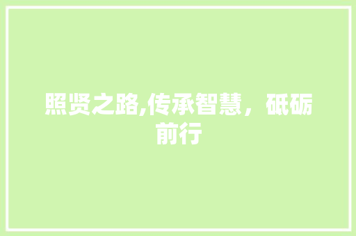 照贤之路,传承智慧，砥砺前行