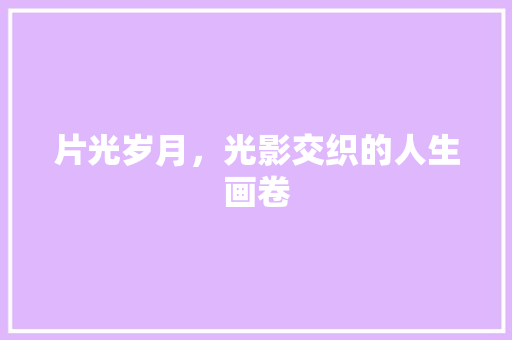 片光岁月，光影交织的人生画卷 个人简历