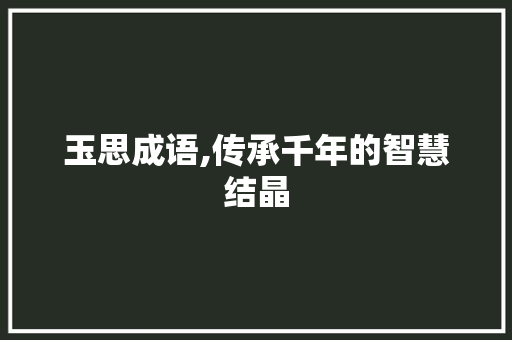 玉思成语,传承千年的智慧结晶