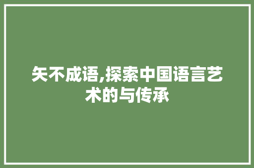 矢不成语,探索中国语言艺术的与传承