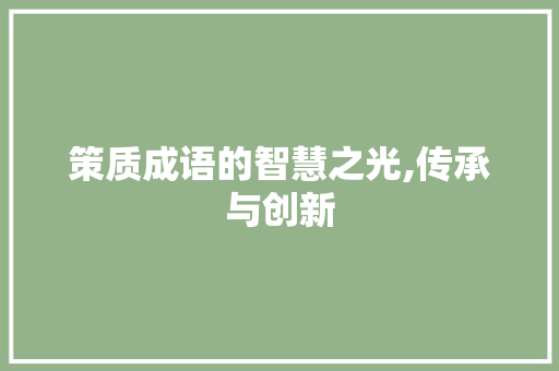 策质成语的智慧之光,传承与创新