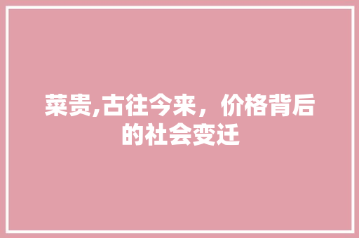 菜贵,古往今来，价格背后的社会变迁