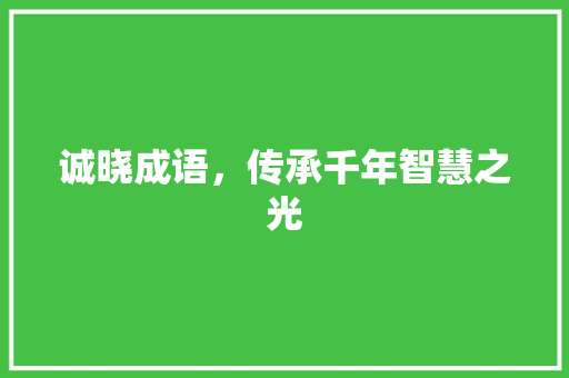 诚晓成语，传承千年智慧之光