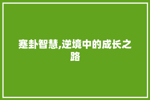 蹇卦智慧,逆境中的成长之路 演讲稿