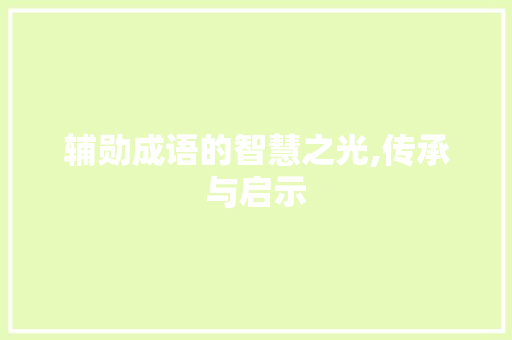 辅勋成语的智慧之光,传承与启示