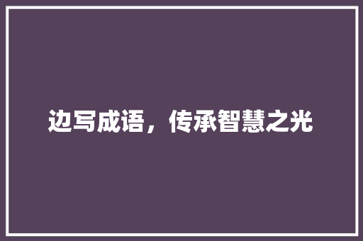 边写成语，传承智慧之光