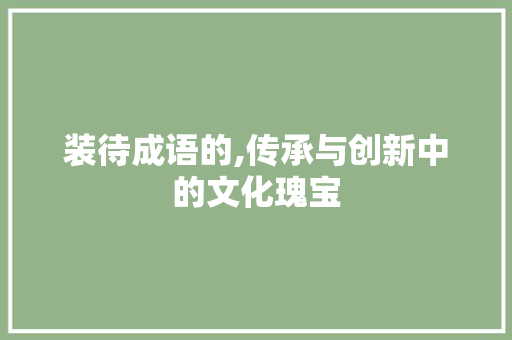装待成语的,传承与创新中的文化瑰宝
