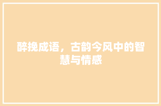 醉挽成语，古韵今风中的智慧与情感