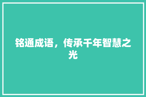 铭通成语，传承千年智慧之光