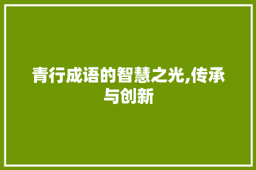 青行成语的智慧之光,传承与创新