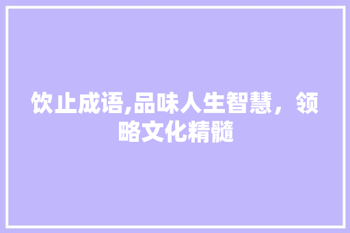 饮止成语,品味人生智慧，领略文化精髓