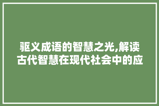 驱义成语的智慧之光,解读古代智慧在现代社会中的应用