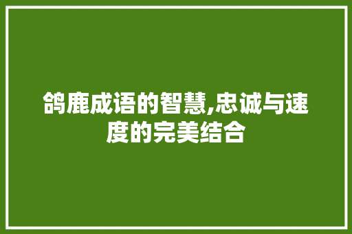 鸽鹿成语的智慧,忠诚与速度的完美结合