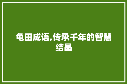 龟田成语,传承千年的智慧结晶