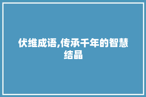 伏维成语,传承千年的智慧结晶