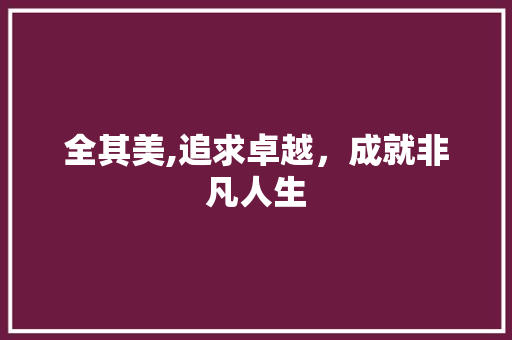 全其美,追求卓越，成就非凡人生 工作总结