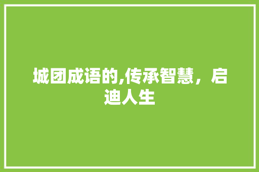 城团成语的,传承智慧，启迪人生