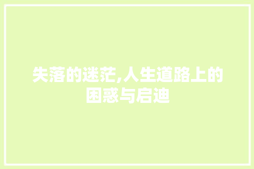 失落的迷茫,人生道路上的困惑与启迪
