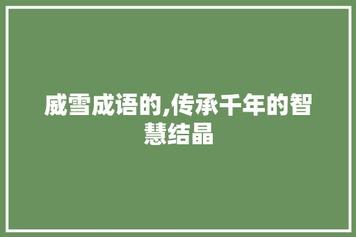 威雪成语的,传承千年的智慧结晶 合同范本