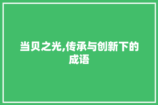 当贝之光,传承与创新下的成语