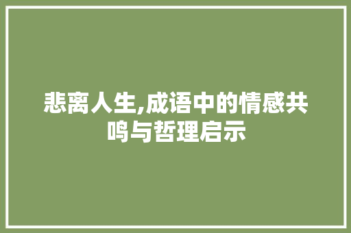 悲离人生,成语中的情感共鸣与哲理启示