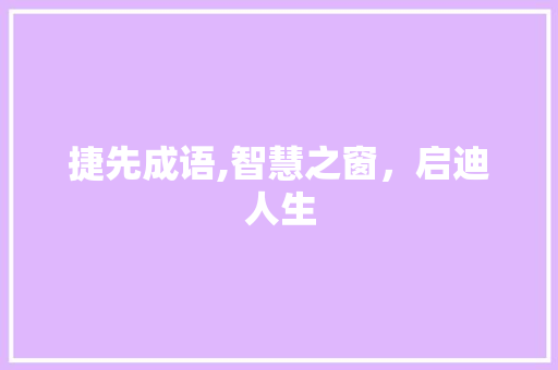 捷先成语,智慧之窗，启迪人生