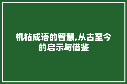 机钻成语的智慧,从古至今的启示与借鉴 诗词鉴赏