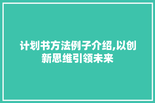 计划书方法例子介绍,以创新思维引领未来