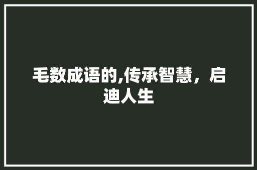 毛数成语的,传承智慧，启迪人生 个人简历