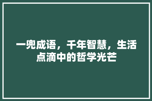 一兜成语，千年智慧，生活点滴中的哲学光芒