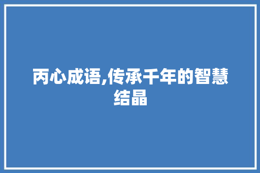 丙心成语,传承千年的智慧结晶