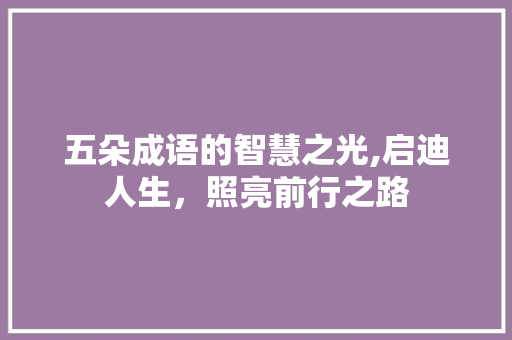 五朵成语的智慧之光,启迪人生，照亮前行之路