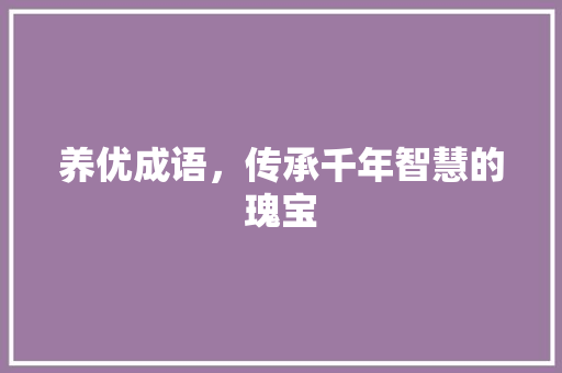 养优成语，传承千年智慧的瑰宝 国学经典