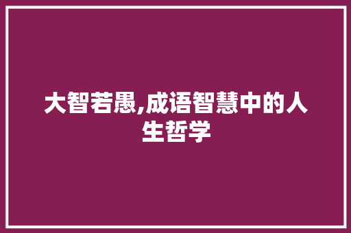 大智若愚,成语智慧中的人生哲学