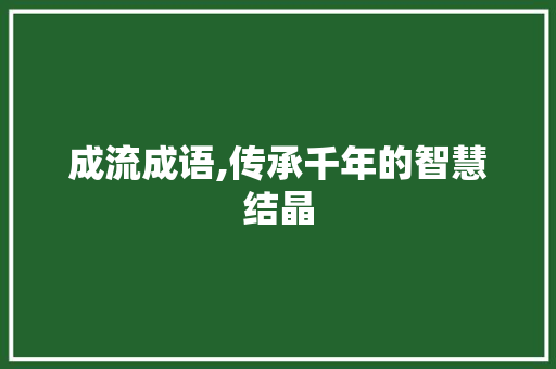 成流成语,传承千年的智慧结晶