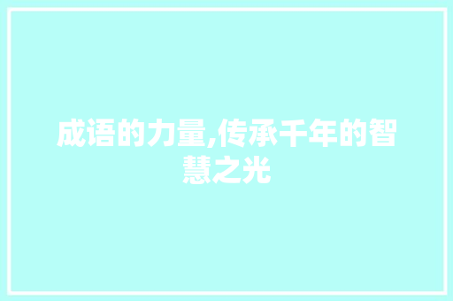 成语的力量,传承千年的智慧之光
